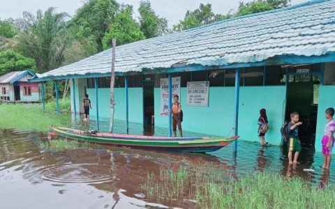 Banjir Melanda di Kecamatan Kuripan Batola