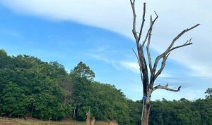 Geopark Meratus Kalsel Memiliki 54 Situs Terbesar