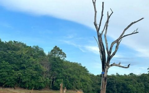 Geopark Meratus Kalsel Memiliki 54 Situs Terbesar