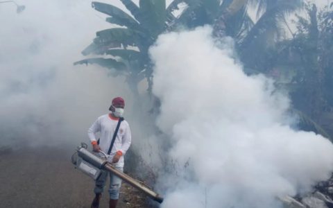 Pemprov Kalsel Temukan 82 Kasus DBD Hingga Januari 2024