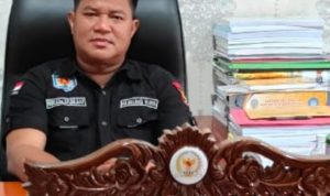 Bebie Raih Suara Tertinggi di Davil II, Tiga Kecamatan