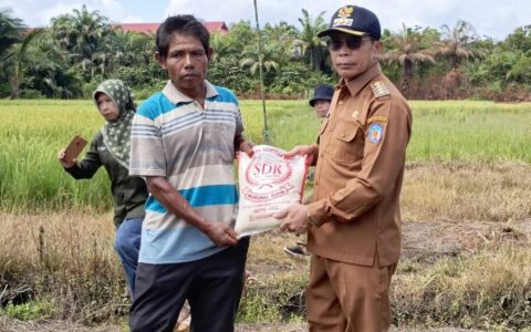 Tekan Laju Inflasi, Pj Bupati Panen Padi Perdana Hasil Kelompok Tani Dam Raya
