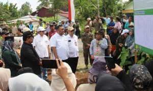 Lahan Rawa Pacu Produksi Padi di Pulang Pisau