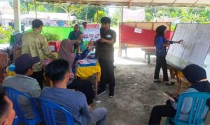 DPRD Pulpis Banyak Wajah Baru