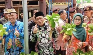 Disarpustaka Kapuas Berhasil Budi Dayakan Sayuran
