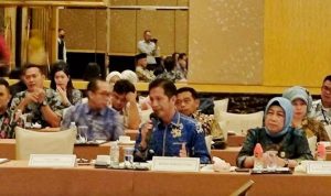 Ketua DPRD Barut Hj Mery Rukaini Hadiri FGD Ketenagalistrikan dengan Kementerian ESDM