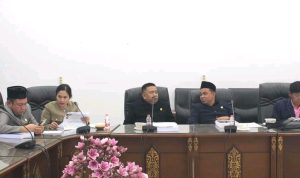 Ini Hasil Rapat RPJPD Barito Utara 2025-2045