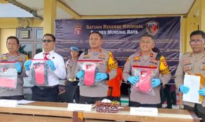 Polres Murung Raya dan Jajaranya Gelar Pers Release Pengungkapan Tiga Kasus Kriminal
