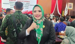 Waket 1 DPRD Murung Raya Apresiasi Bantuan Pasang Baru Listrik