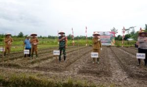 Pj Bupati Barito Utara Tanam Jagung Serentak, Wujudkan Swasembada Pangan