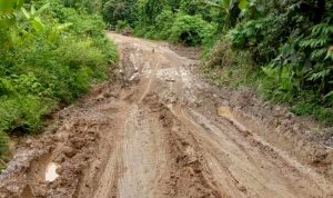 Ini Kata Kadis PUPR Terkait Jalan Rusak di Simpang 30 ke Arah Trans Jamud