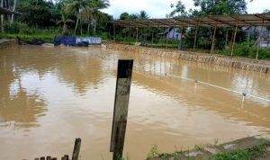 Meriahkan HPN dan HUT Ke-79 PWI, PWI Barito Utara Adakan Lomba Memancing