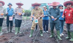 Bartim Siap Tingkatkan Produktivitas Jagung Nasional