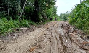 Penanganan Darurat Kerusakan Jalan Simpang 30, Ini Kata Kadis PUPR