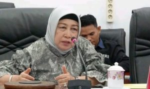 Respons Cepat BPBD, Disdamkarmat, dan Relawan Atasi Kebakaran di Apresiasi Dewan Barut