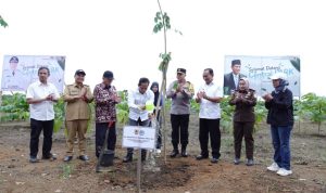 Menteri LH Bersama Gubernur Kalsel Tanam Pohon Penghijauan di Kawasan Central Park Batulicin