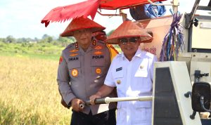 Gubernur Kalteng Bersama Kapolda Kalteng Laksanakan Hilirisasi Pertanian