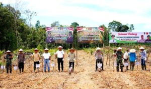 Pj Bupati Muhlis Ajak Masyarakat Sukseskan Program Ketahanan Pangan Lewat Tanam Jagung di PT MPG