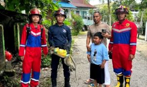 Disdamkarmat Barito Utara Evakuasi Monyet yang Dibuang di Tempat Sampah