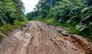 Jalan Rusak Parah di KM 30 Arah Desa Mampuak, Warga Minta Jalan Dilakukan Perbaikan