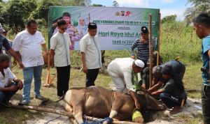 Sebagai Bentuk Kepedulian dan Rasa Syukur, Polres Bartim Sembelih Hewan Korban