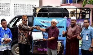 Jelang Idul Adha 1446 H Pemkab Barut Terima Bantuan Sapi Kurban dari Presiden RI
