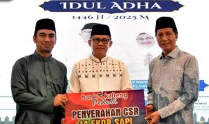 Pemkab Barut Terima CSR Dari Bank Kalteng Cabang Muara Teweh Sebanyak 14 Ekor Hewan Qurban