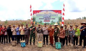 Kapolres Hadiri Panen Jagung Serentak se Indonesia Secara Virtual dari Desa Mampuak