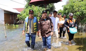 Pemprov Kalsel Siap Berikan Bantuan Benih dan Bibit Bagi Petani Gagal Panen Akibat Banjir