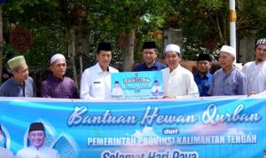Pemprov Kalteng Serahkan 30 Ekor Sapi Qurban untuk Pemkab Barito Utara