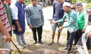 Wakil Bupati Murung Raya Tinjau Pemotongan Hewan Kurban di Langgar Al-Munawarrah