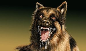 Waspada Rabies, Pemkab Barut Keluarkan Himbauan kepada Warga Pelihara Anjing, Kucing, dan Kera