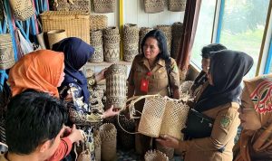 Dekranasda Barito Utara Kunjungi Galeri dan Pengrajin UMKM di Tiga Kecamatan