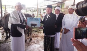 Gubernur H. Muhidin dan Wagub Hasnuryadi Seraahkan Bantuan Sapi Kurban di Masjid Sabilal Muhtadin Banjarmasin