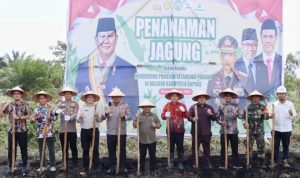 Legislator Dukung Percepatan Program Swasembada Jagung di Kapuas