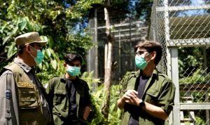 Pj Bupati Kunjungi Yayasan Kalaweit Indonesia, Tegaskan Dukungan untuk Konservasi Alam Kalimantan
