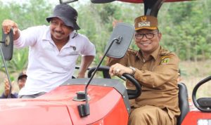 Bupati Tabalong Tinjau Lahan Ketahanan Pangan di Desa Uwie