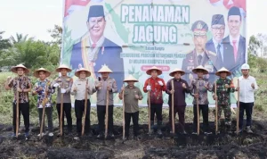 DPRD Kapuas Dukung Swasembada Jagung