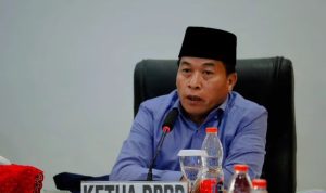 Ketua DPRD Murung Raya Apresiasi Peresmian, Pemasangan Listrik di Desa Hingan Tokung