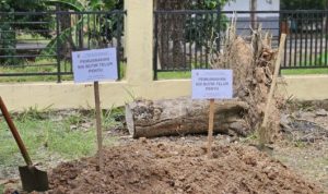 Pemprov Kalsel Perkuat Konservasi, Tegaskan Komitmen Jaga Penyu Laut