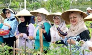 Pj Ketua TP PKK Barut Tanam Buah di Palangka Raya, Dorong Ketahanan Pangan