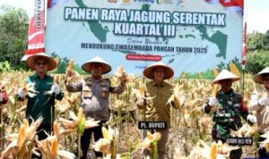 Kapolres Barut Ajak Dukung Ketahanan Pangan Lewat Panen Jagung