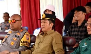 Pemkab Barut Tegaskan Swasembada Pangan di Panen Raya Jagung