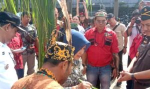 Kajari Baru Barito Utara Disambut Adat Dayak Potong Hompong