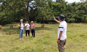 Sutrisno Dorong Penguatan Program Peternakan Sapi di Murung Raya