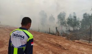 Status Darurat Karhutla Usai, Dinsos Kalsel Tetap Siaga