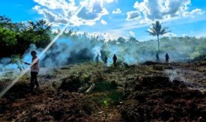 TNI & Warga Desa Jamut Buka Lahan Pertanian Baru
