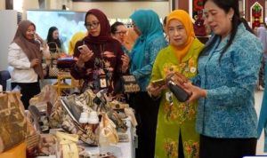 TP PKK Barut Dukung Sinergi Pemerintah & PKK Pusat untuk Kesejahteraan