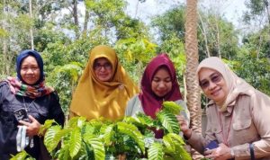 Kopi Kalsel Didorong Naik Kelas melalui BANGKODIN
