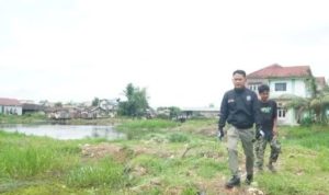Pulau Insan Disulap Jadi Resapan Air dan Wisata Kota